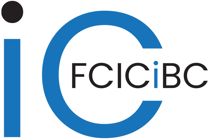 Fundacja Centrum Integralności Cyfrowej i Bezpieczeństwa Informacyjnego